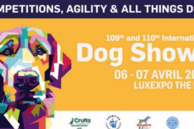LUXEXPO DOG SHOW